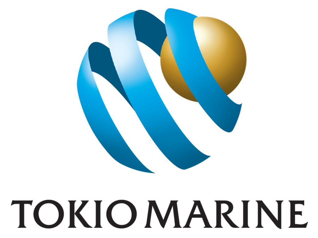 三菱集团旗下跨国保险控股公司：东京海上控股 Tokio Marine Holdings(TKOMY)