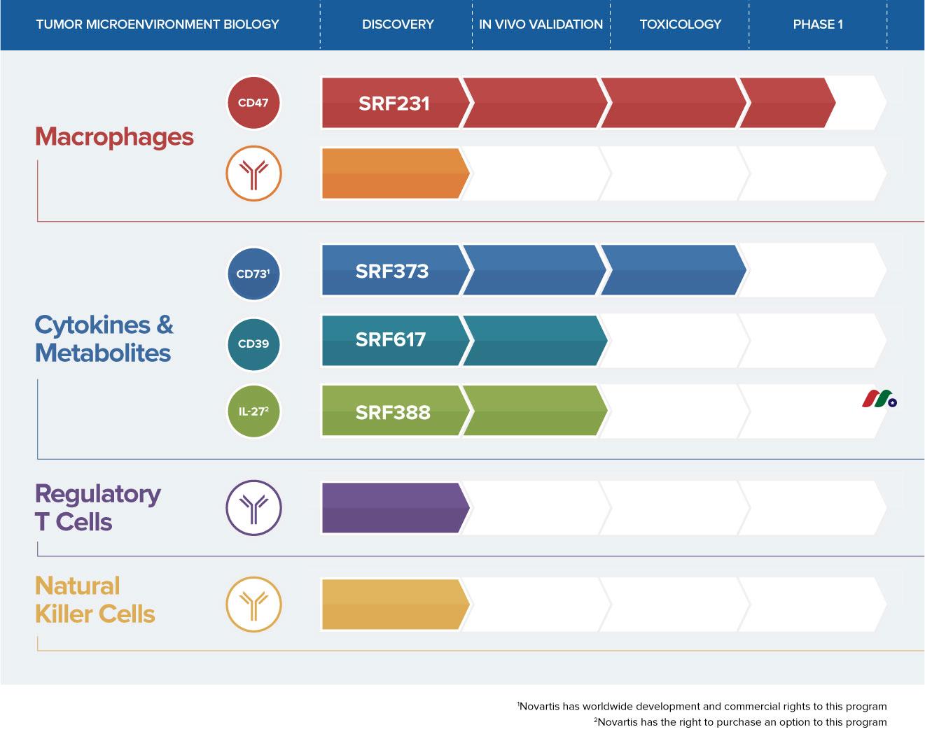 免疫肿瘤学公司：Surface Oncology, Inc.(SURF)-图片2