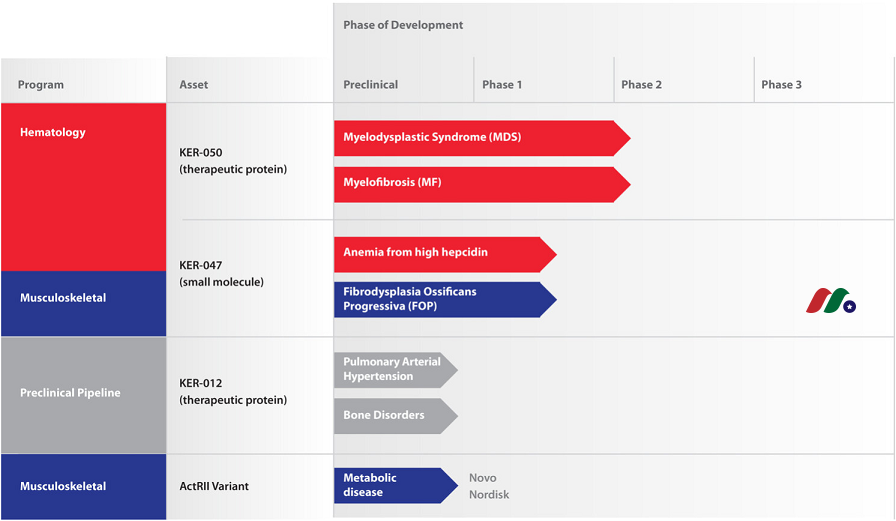 临床阶段的生物制药公司：Keros Therapeutics(KROS)-图片2