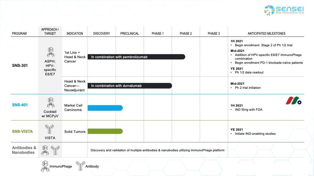 癌症生物技术公司：Sensei Biotherapeutics, Inc.(SNSE)-图片2