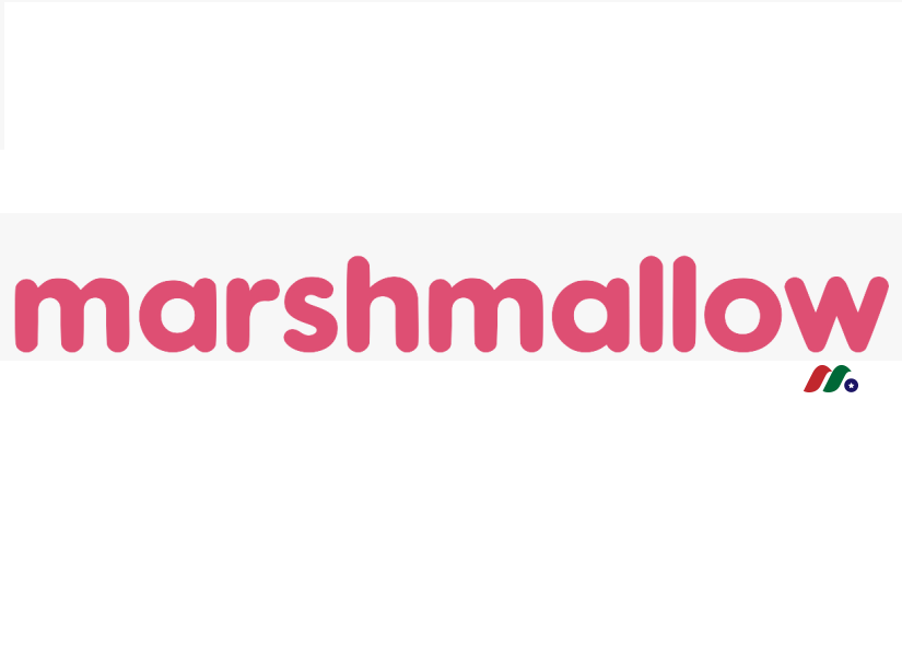 技术驱动的英国全栈保险公司独角兽：Marshmallow