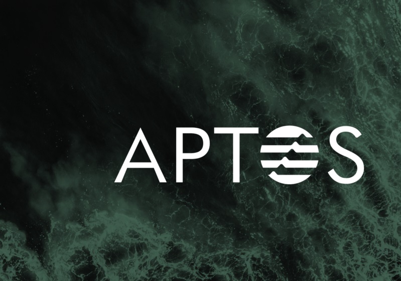 构建可扩展的第 1 层区块链的独角兽公司：Aptos, Inc.