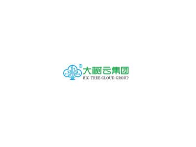 中国女性护理用品和其他消费品生产销售商：大树云集团 Big Tree Cloud Holdings Limited