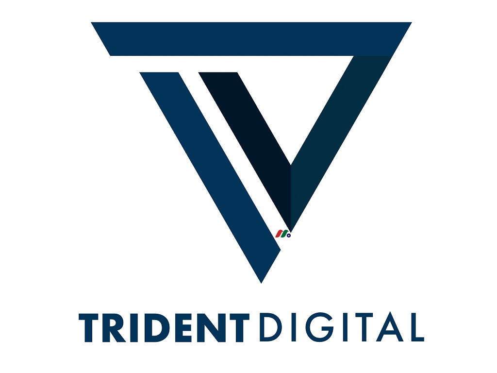 新加坡咨询公司：Trident Digital Tech Holdings(TDTH)